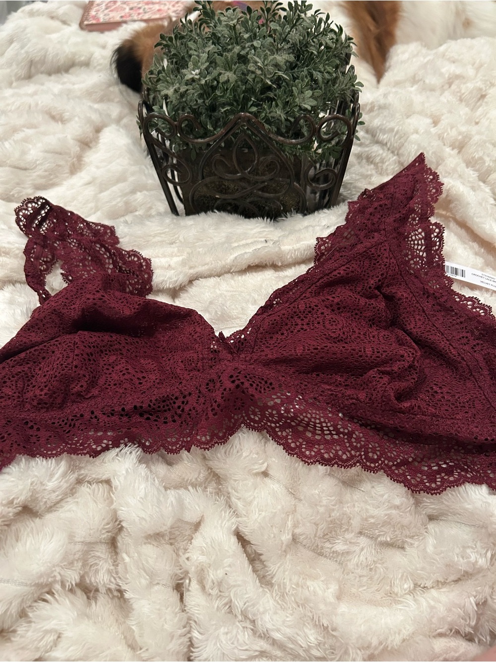NWT SET/3 Soma Lace Adjustable Bralette XXL